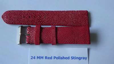 SALE ! 24 MM Red Polished Stingray Beautiful and Strong