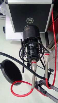 REDUCED AGAIN Senal Large-Diaphragm Multi-Pattern Condenser Microphone