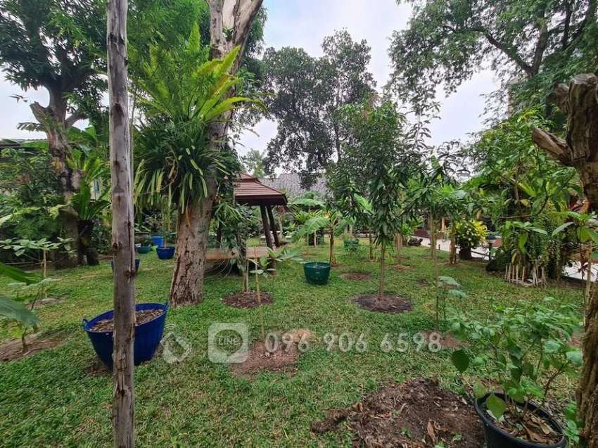 !!! Hot Price | For Rent | Cosy House | Wongamat (North Pattaya)