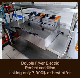 Double Fryer Electric