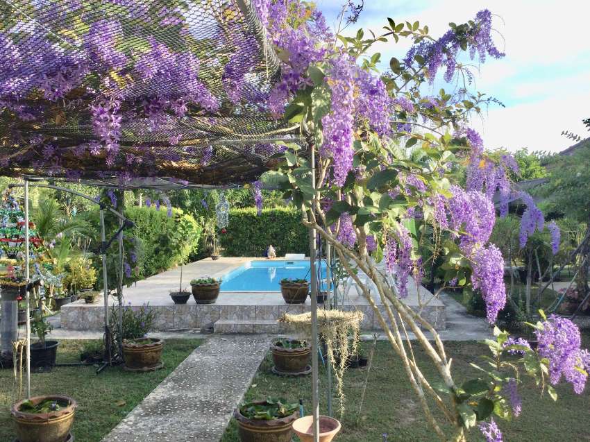 New renovated privat estate with pool and stunning garden