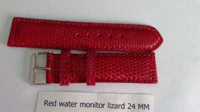 Stunning Red Water Monitor Lizard 24 MM watch band