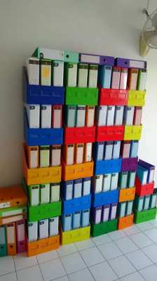 66 A4 box files + shelves. Good for school, university, library, biz
