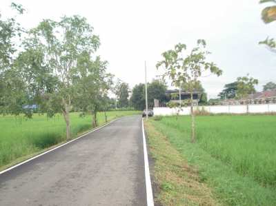 Land for sale at Na San Na Meng, Highway 118, Chiang Mai - Doi Saket, 