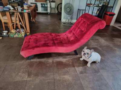 Sofa,  red velvet 