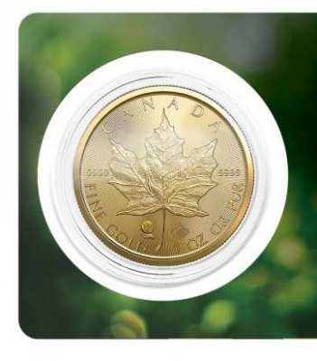 Genuine Gold/Silver Coins for Sale - Canadian Maple Leaf 1 oz