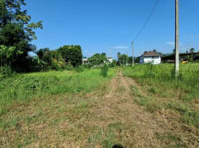 Land for sale in Kor Tong, Khao Pa Nom near the Tor Kor Sor Bank