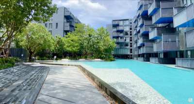Top Studio Apartment for sale at The Deck Patong