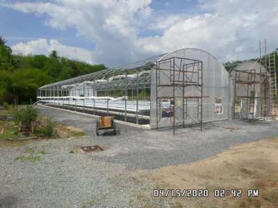 FINAL CLOSEOUT SALE OF GREENHOUSE STRUCTURES, cannabis or vegetables 
