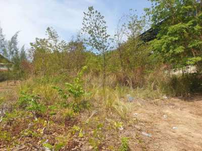 Land for sale in Rawai.