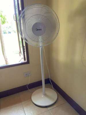 Pedestal Fan
