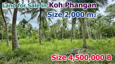 Selling land on Koh Phangan