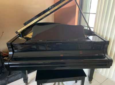 1986-1987 Wurlitzer 6 Foot Baby Grand Piano Model G461