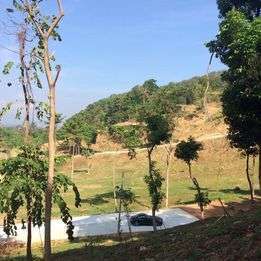 Hill Side Land For Sale Phuket 