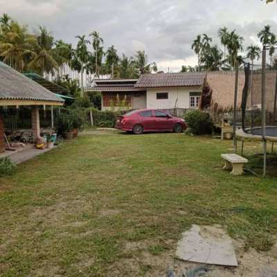 House and land for sale, covering 1 Rai and 30 Wah
