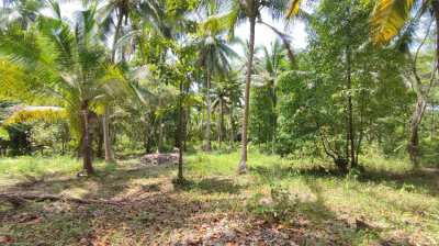 Small plot of land for sale on Koh Phangan