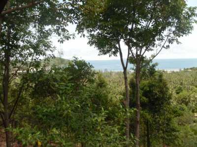 Land for Sale Seaview