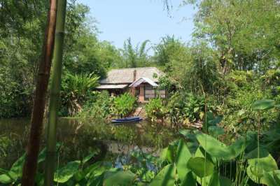Chiang Mai: Lychee Lodge, little lakeside bungalow in a natural garden