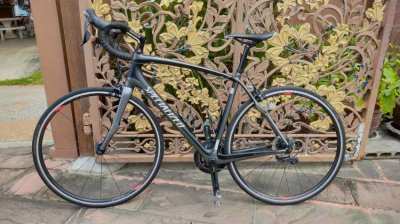 Specialized Roubaix Cycle, Full Carbon Frame & Carbon Forks