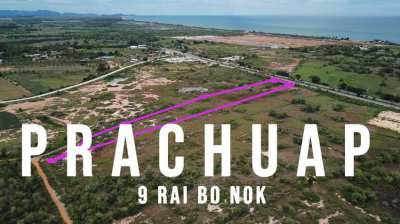 Land Prachuap khiri khan (14996 m²)