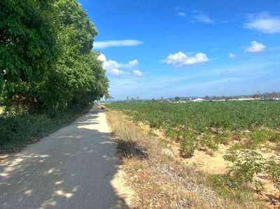 Land for sale. Near Chak Nok Reservoir, Pattaya, Chonburi 