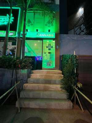 Business Opportunity: Cannabis Shop for Sale or Rent Jomtien