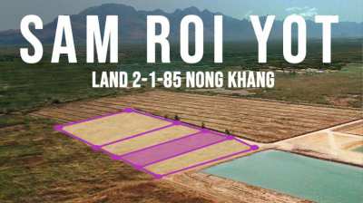 Land 2-1-85 in Nong Khang, Sam roi yot District (3940 m²)