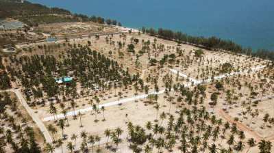Land 7 rai in the Thap Sakae beach (11200 m²)