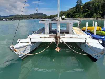 Wharram 26 sail boat for sale