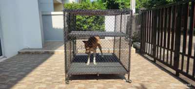 Animal cage heavy duty wheels easily 