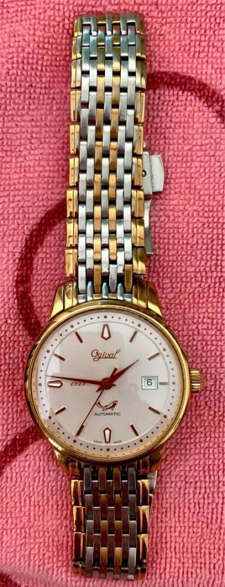 Ogival 1929 Automatic Swiss Watch