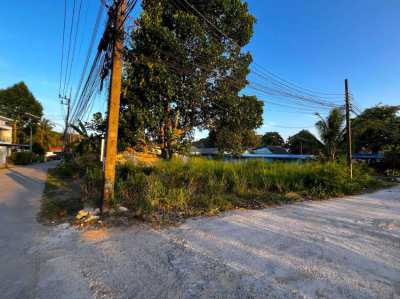 Land for sale in Rawai - Samakki - 91 sqw (364 m2)