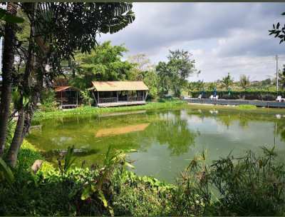 Fishing park and restaurant with rooms in Pattaya 