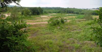 Exquisite Freehold Land in Koh Lanta, Ideal for Privacy and Views