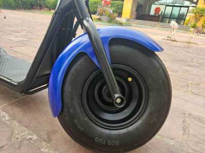 harley fat tyre ebike adult size