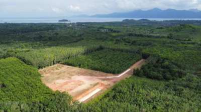 Agricultural Durian land with prepared house site.