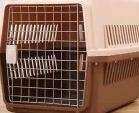 Animal Transfer Box   (Cat-Dogs ect.)  Medium Sitze