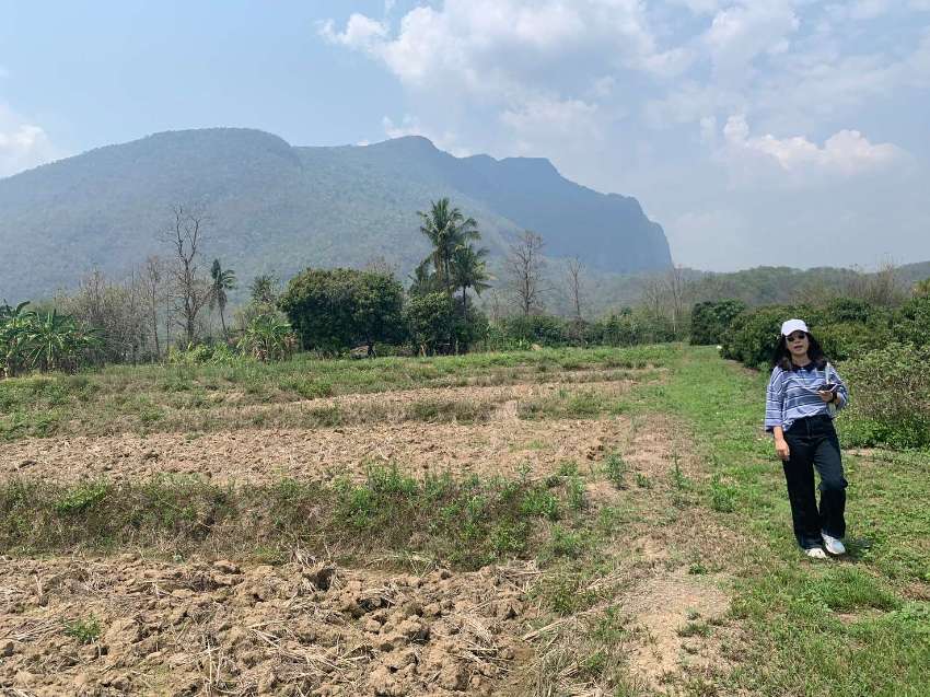 Chiang Dao, Mountain View Land for sale 13 Rais 1.5 M. per Rai 