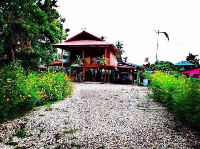 House for sale in Uttaradit 334 Sqws with fruits garden 5 km to City 
