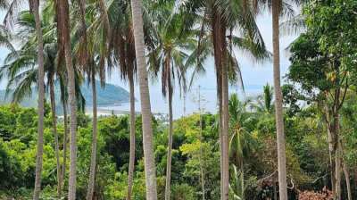 Sea and Mountain View Land for Sale
