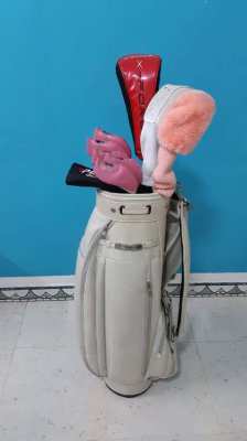 Complete set of golf clubs with bag for women,s